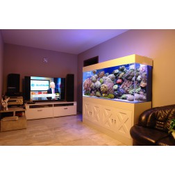 Zestaw Pro Reef z akwarium Full OptiWhite 500 L 200/50/50 cm - sump, kompletnie wyposażony