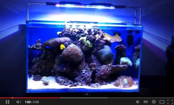 aquarium_optiwhite