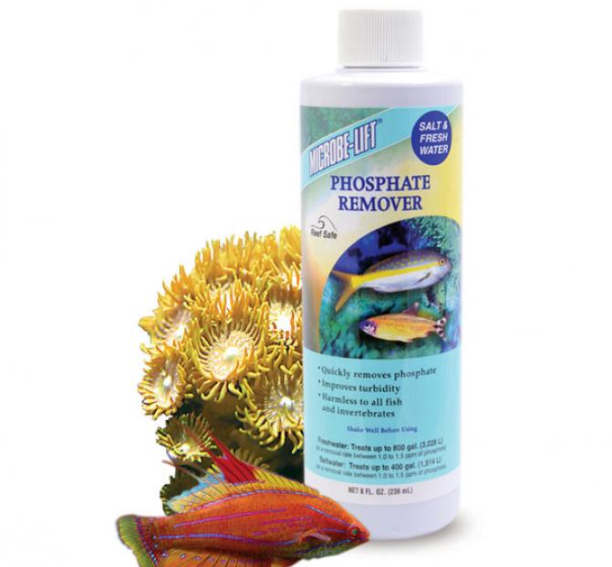 phosphate_remover_microbe_lift_argus